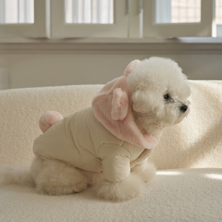 新品上架【梨花娘總代理】🐾BAILEY 🐶秋冬新品 小熊連帽毛球防潑水鋪棉寵物外套(2色) 寵愛禮物