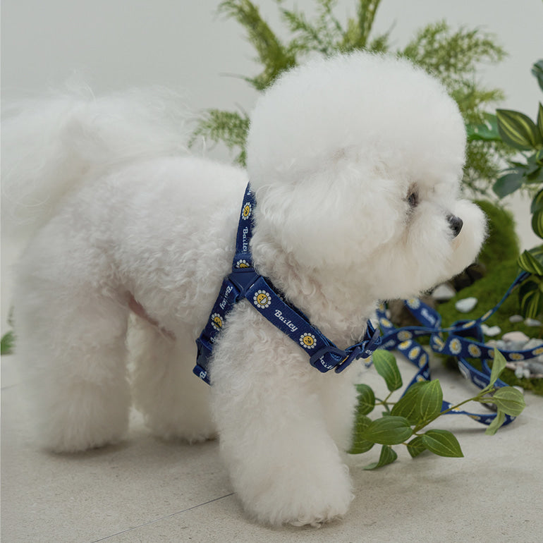韓國新品上架【梨花娘總代理】🐾BAILEY 🐶秋冬新品 Daisy 雛菊亮色花朵微笑寵物胸背帶(4色)