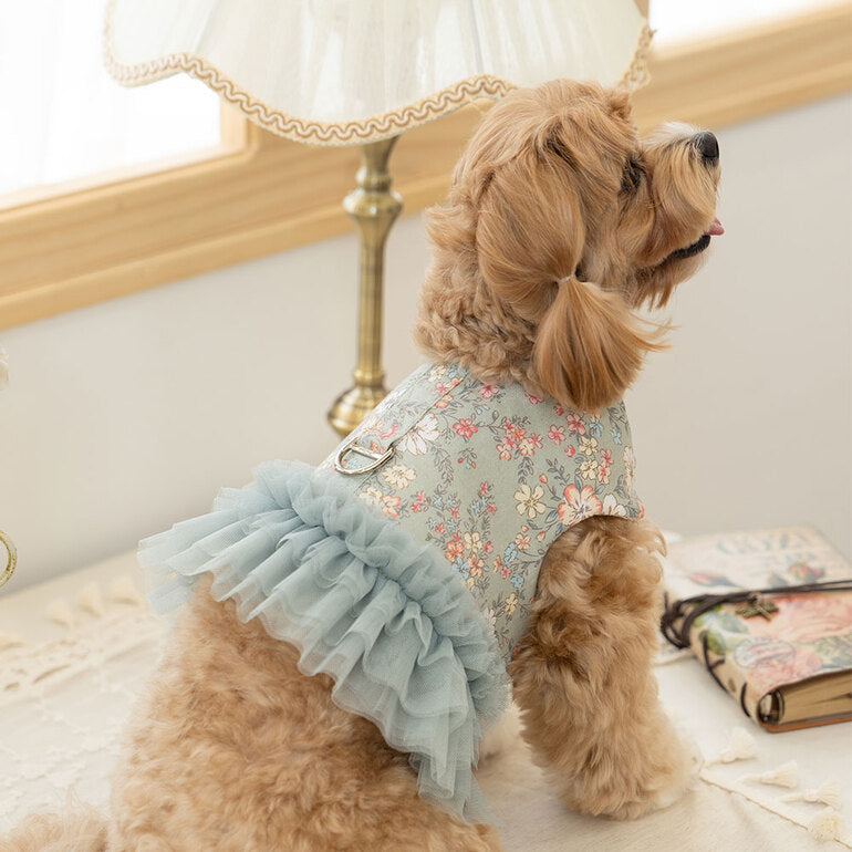 韓國新品上架【梨花娘總代理】🐾BAILEY 🐶新品 溫柔蕾絲荷葉法式小碎花寵物蓬蓬裙+牽引繩(2色)