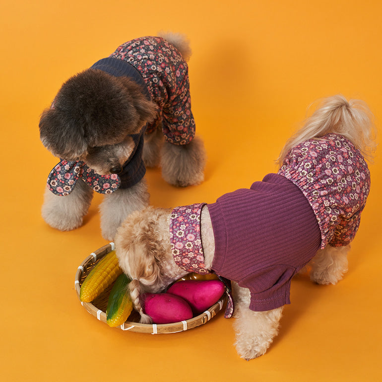韓國新品上架【梨花娘總代理】🐾BAILEY 🐶復古花朵圖保暖舒適圍脖針織寵物毛衣(2色)