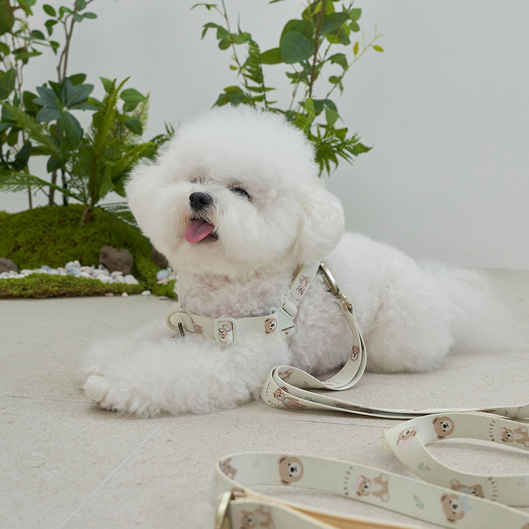 韓國新品上架【梨花娘總代理】🐾BAILEY 🐶秋冬新品 馬卡龍柔軟色系小熊圖案寵物胸背帶(3色)