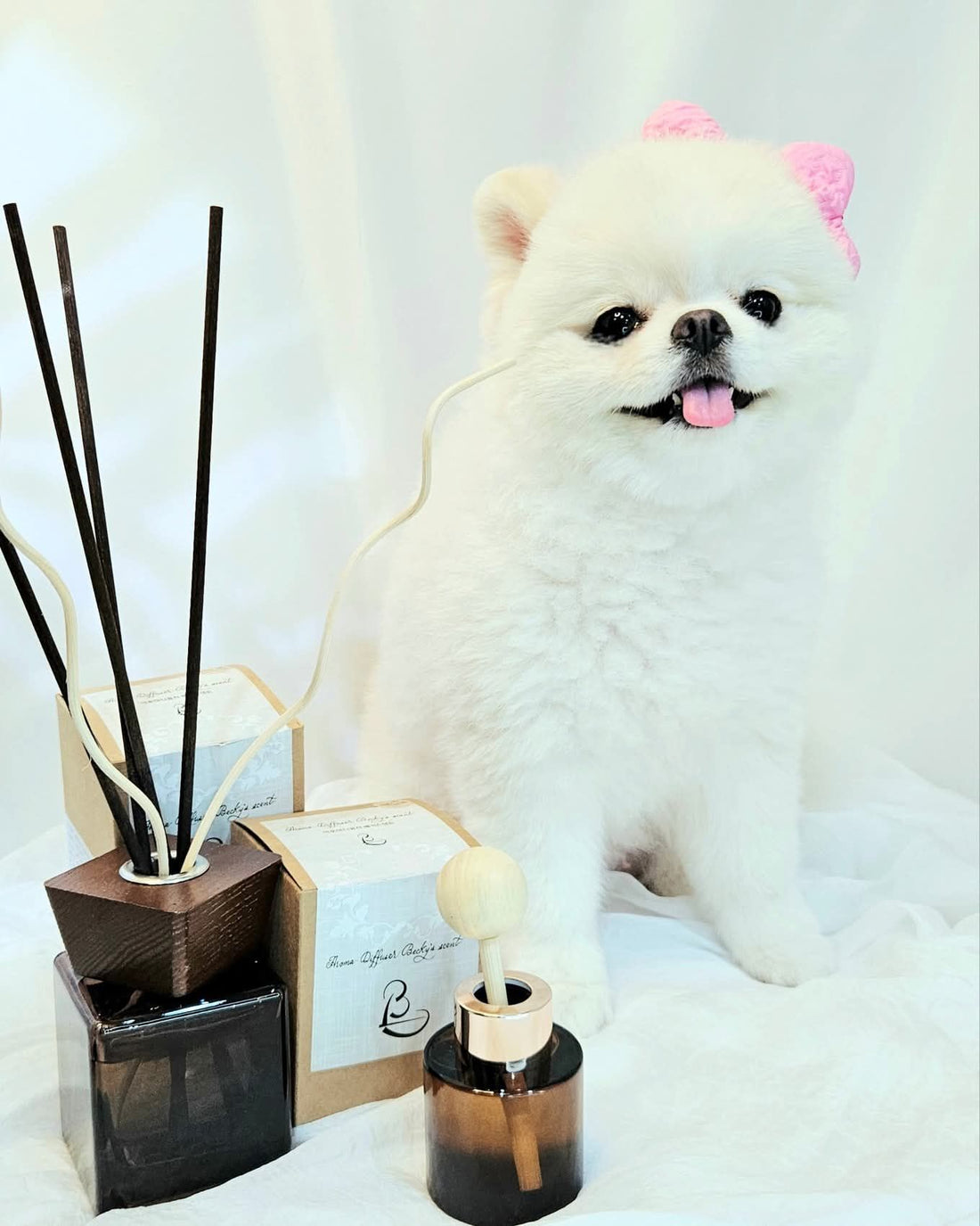 💜新品上架【梨花娘總代理】🫧韓國PUMBLEPET 天然植萃🌿韓國專業國際調香師車用室內擴香瓶100/50ml
