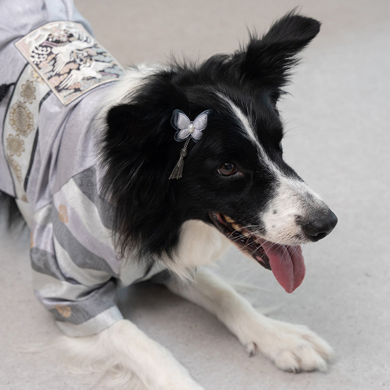韓國新品上架【梨花娘總代理】🐾BAILEY 🐶高質感韓服頭飾流蘇古典手工寵物髮夾(7色)