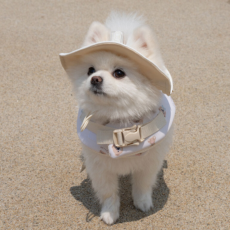 韓國新品上架【梨花娘總代理】🐾BAILEY 🐶夏日高浮力清涼透氣寵物漂浮泳衣(3色)