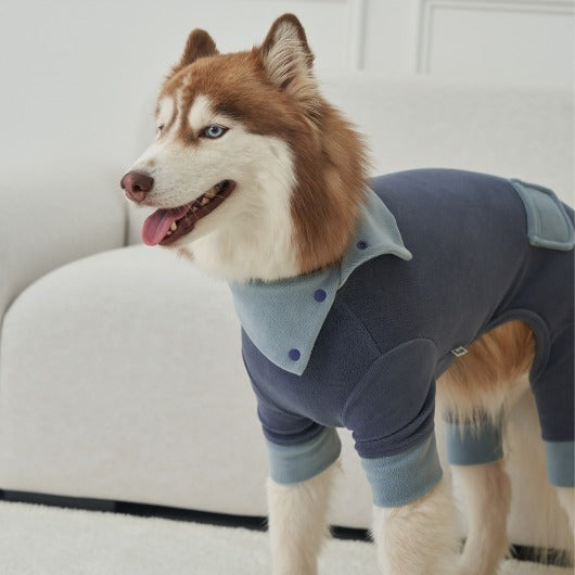 韓國新品上架【梨花娘總代理】🐾BAILEY 🐶秋冬新品 領口釦環設計一件式保暖細絨毛衣寵物服飾(3色)