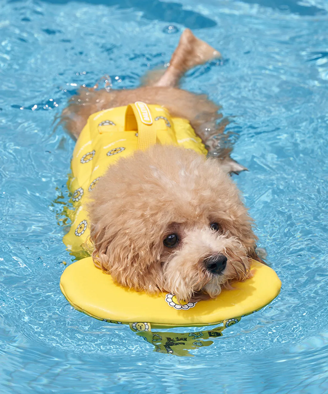 韓國新品上架【梨花娘總代理】🐾BAILEY PET🐶夏日高浮力清涼透氣笑臉花朵寵物救生漂浮泳衣(4色)