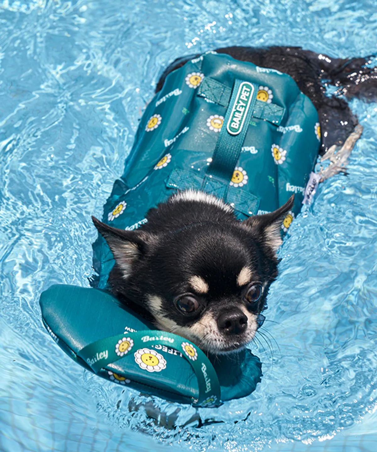 韓國新品上架【梨花娘總代理】🐾BAILEY PET🐶夏日高浮力清涼透氣笑臉花朵寵物救生漂浮泳衣(4色)