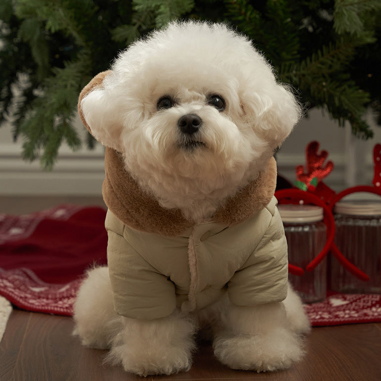 新品上架【梨花娘總代理】🐾BAILEY 🐶秋冬新品 小熊連帽毛球防潑水鋪棉寵物外套(2色) 寵愛禮物
