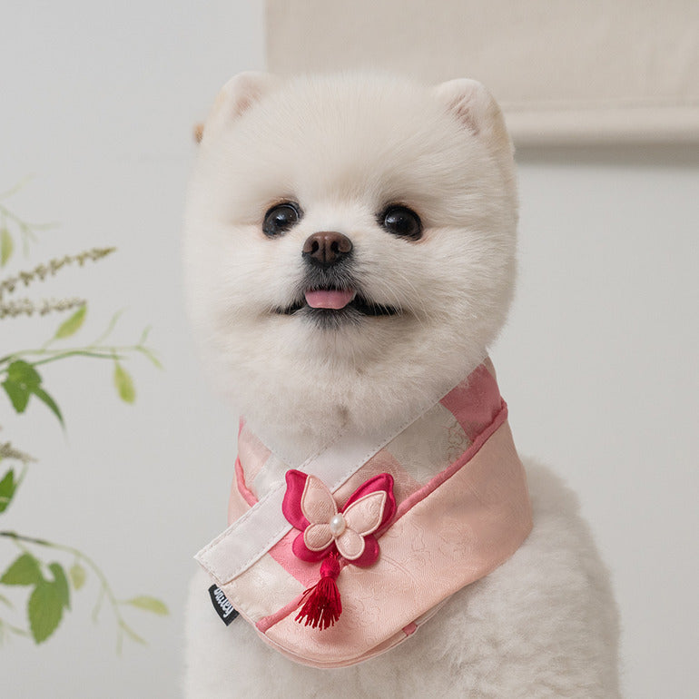 韓國新品上架【梨花娘總代理】🐾BAILEY 🐶秋冬新品 韓國皇室蝴蝶流蘇精緻韓服領巾(4色)