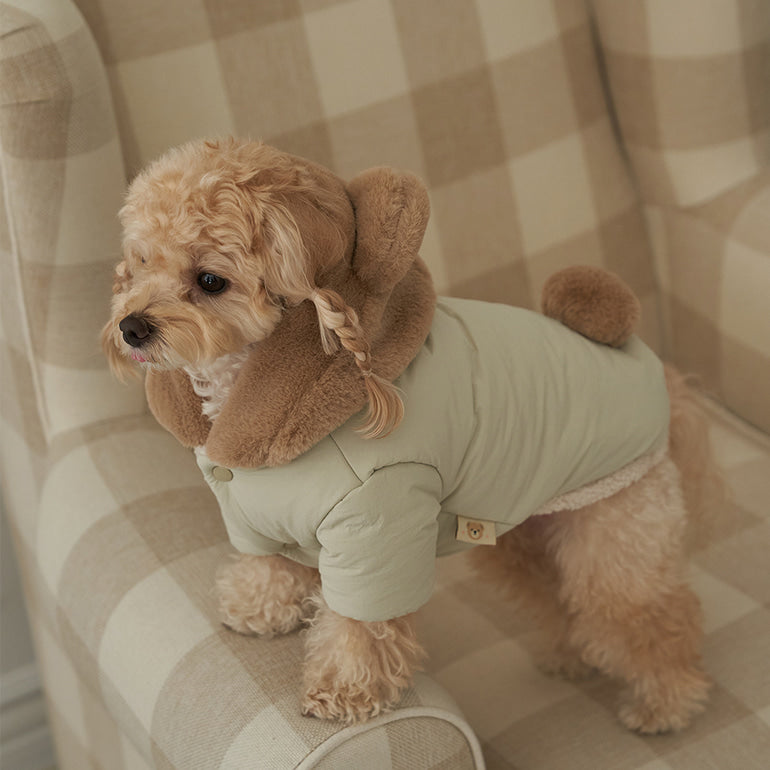 新品上架【梨花娘總代理】🐾BAILEY 🐶秋冬新品 小熊連帽毛球防潑水鋪棉寵物外套(2色) 寵愛禮物