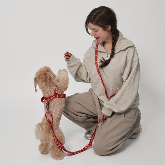 韓國新品上架【梨花娘總代理】🐾BAILEY 🐶 微笑花朵可愛小熊高機能解放雙手寵物牽引繩(7色)