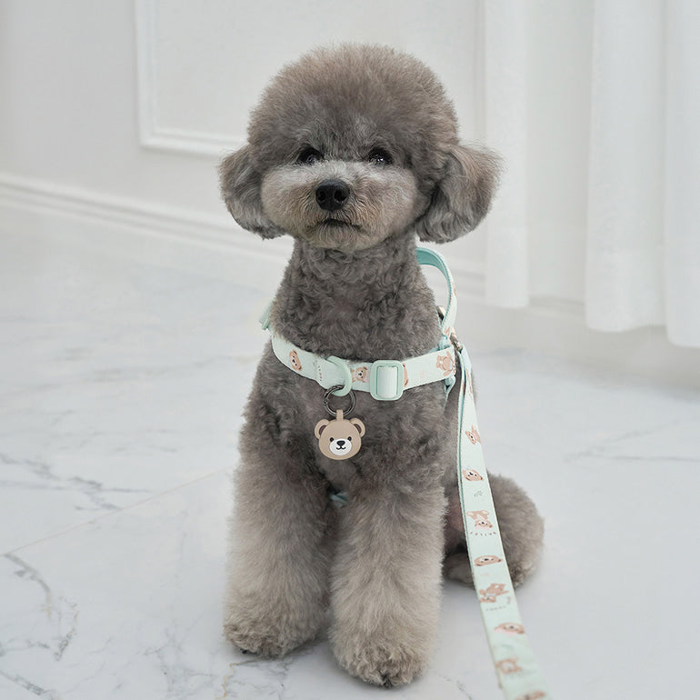 韓國新品上架【梨花娘總代理】🐾BAILEY 🐶秋冬新品 馬卡龍柔軟色系小熊圖案寵物胸背帶(3色)