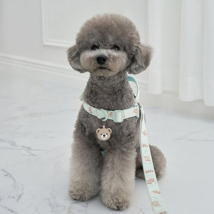 韓國新品上架【梨花娘總代理】🐾BAILEY 🐶秋冬新品 馬卡龍柔軟色系小熊圖案寵物胸背帶(3色)