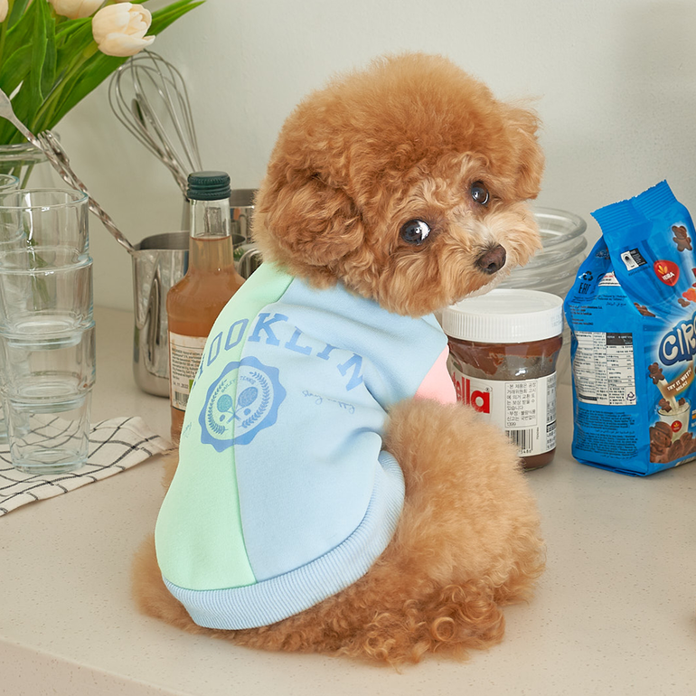 韓國新品上架【梨花娘總代理】🐾BAILEY 🐶秋冬新品 韓系繽紛馬卡龍拼接網球保暖親膚連身衣