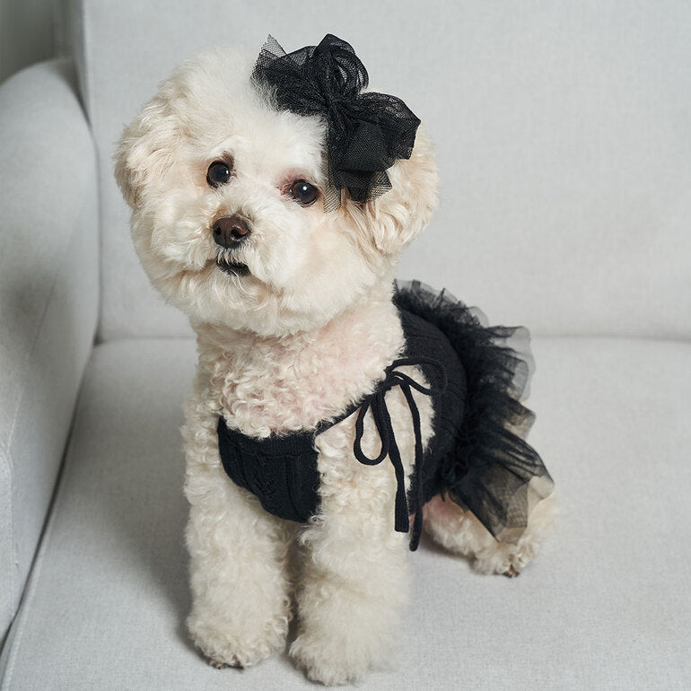 韓國新品上架【梨花娘總代理】🐾BAILEY 🐶秋冬新品 針織拼接蕾絲氣質優雅花朵芭蕾舞裙寵物服飾(2色)