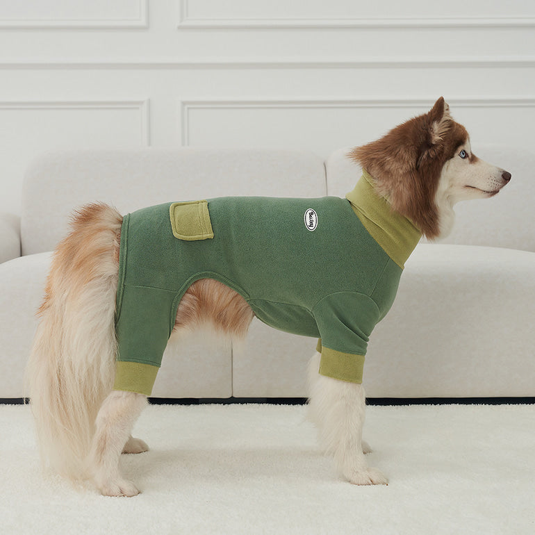 韓國新品上架【梨花娘總代理】🐾BAILEY 🐶秋冬新品 領口釦環設計一件式保暖細絨毛衣寵物服飾(3色)