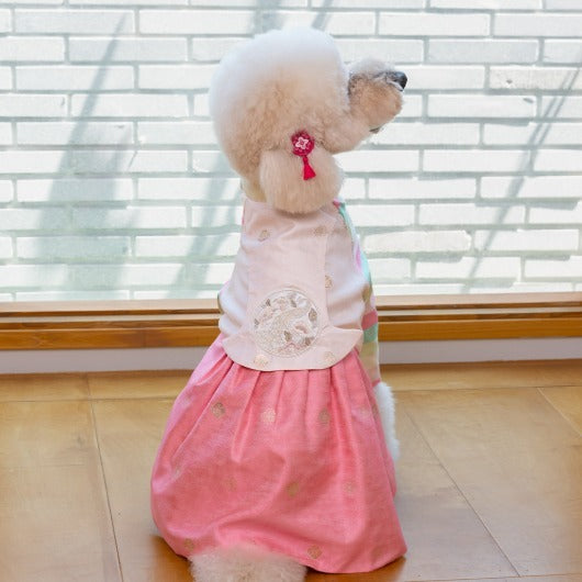 韓國新品上架【梨花娘總代理】🐾BAILEY 🐶秋冬新品 皇室公主刺繡百褶裙寵物韓服(2色)