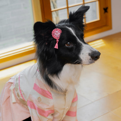 韓國新品上架【梨花娘總代理】🐾BAILEY 🐶高質感韓服頭飾流蘇古典手工寵物髮夾(7色)