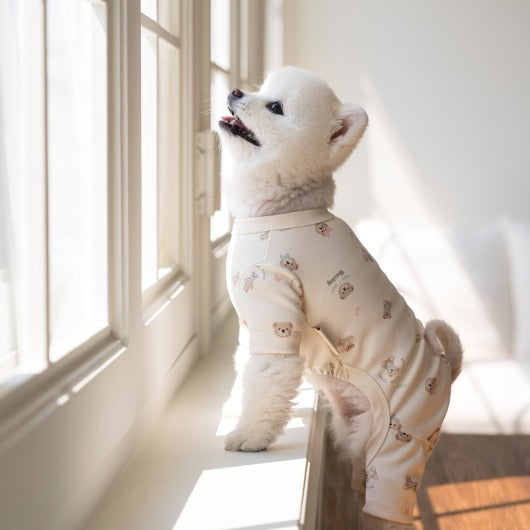 韓國新品上架【梨花娘總代理】🐾BAILEY 🐶新品 滿版小熊圖案舒適透氣寵物連身衣(3色)