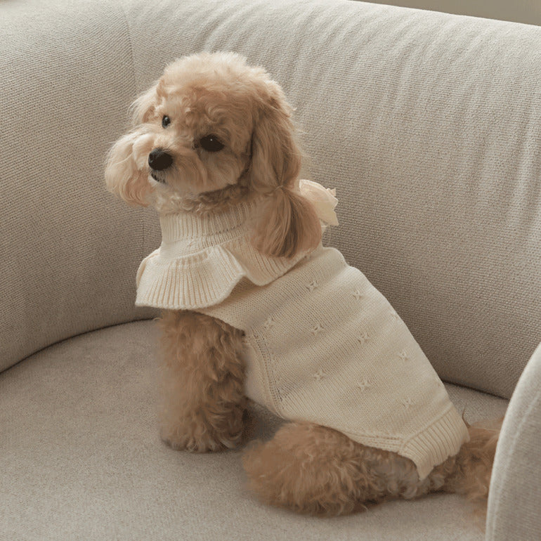 韓國新品上架【梨花娘總代理】🐾BAILEY 🐶秋冬新品 柔軟蝴蝶荷葉邊高領針織寵物服飾(3色)