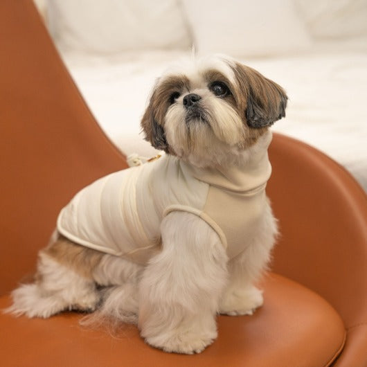 韓國新品上架【梨花娘總代理】🐾BAILEY 🐶秋冬新品 柔軟菌菌拜拜內襯防潑水高領設計保暖寵物服飾(3色)