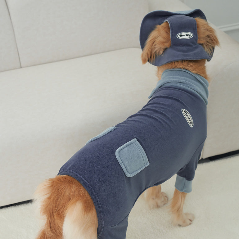 韓國新品上架【梨花娘總代理】🐾BAILEY 🐶秋冬新品 領口釦環設計一件式保暖細絨毛衣寵物服飾(3色)