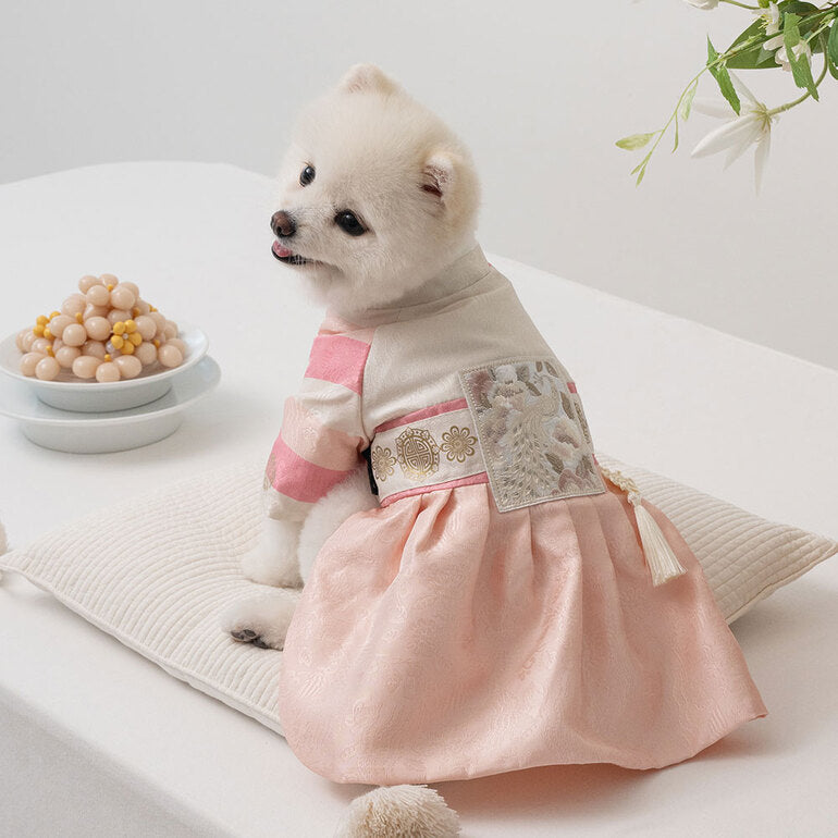 韓國新品上架【梨花娘總代理】🐾BAILEY 🐶秋冬新品 皇室尊貴刺繡流蘇寵物韓服(4色)
