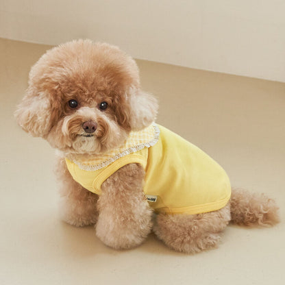 韓國新品上架【梨花娘總代理】🐾BAILEY 🐶秋冬新品 韓系溫小公主格子領蕾絲邊刺繡寵物服飾(3色)