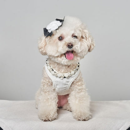 韓國新品上架【梨花娘總代理】🐾BAILEY 🐶秋冬新品 山茶花刺繡方形領口粗花編織保暖針織寵物服飾(2色)