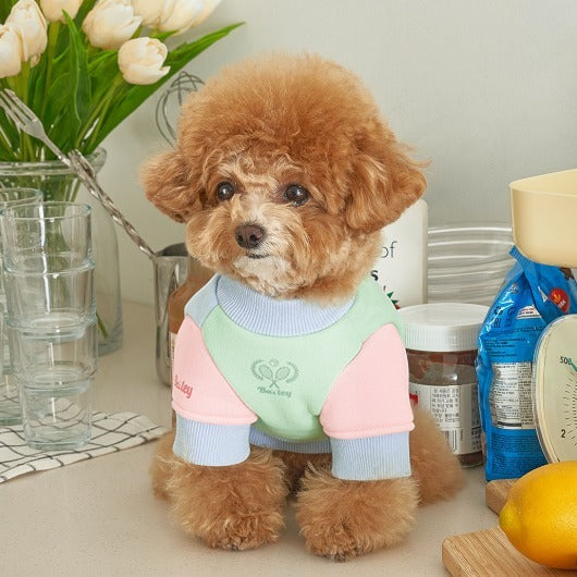 韓國新品上架【梨花娘總代理】🐾BAILEY 🐶秋冬新品 韓系繽紛馬卡龍拼接網球保暖親膚連身衣
