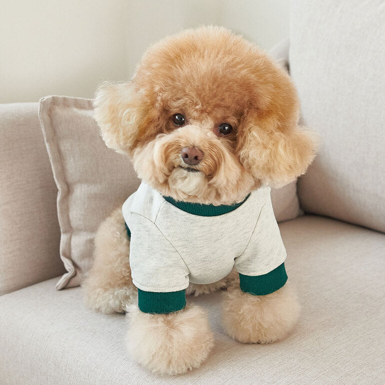 韓國新品上架【梨花娘總代理】🐾BAILEY 🐶秋冬新品 韓系潮流聯名休閒棉質寵物服飾(3色)