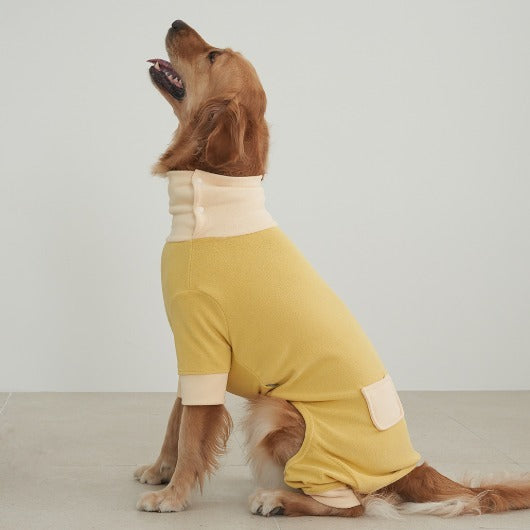 韓國新品上架【梨花娘總代理】🐾BAILEY 🐶秋冬新品 領口釦環設計一件式保暖細絨毛衣寵物服飾(3色)