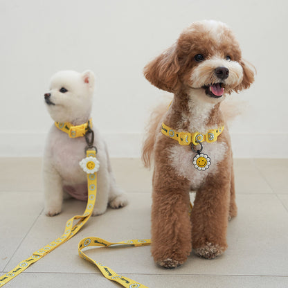 韓國新品上架【梨花娘總代理】🐾BAILEY 🐶秋冬新品 飽合亮色花朵微笑寵物牽繩(4色)
