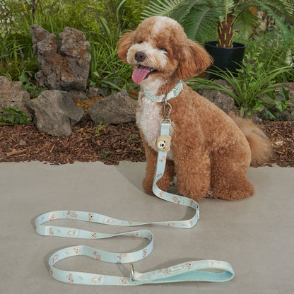 韓國新品上架【梨花娘總代理】🐾BAILEY 🐶秋冬新品 馬卡龍柔軟色系小熊圖案寵物牽繩(3色)