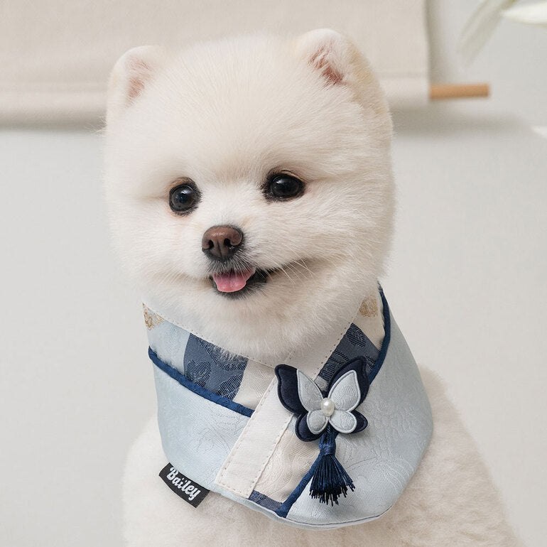 韓國新品上架【梨花娘總代理】🐾BAILEY 🐶秋冬新品 韓國皇室蝴蝶流蘇精緻韓服領巾(4色)