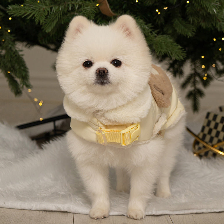 🔥新品上架【梨花娘總代理】🐈‍⬛BAILEY 泰迪熊口袋圖案防風鋪棉寵物服飾(4色) 寶貝禮物