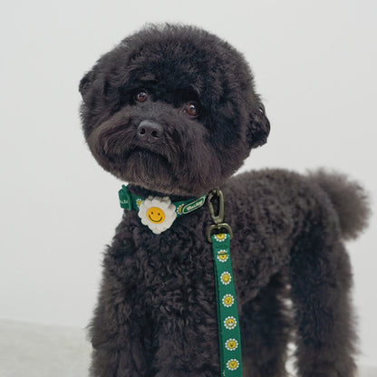 韓國新品上架【梨花娘總代理】🐾BAILEY 🐶秋冬新品 飽合亮色花朵微笑簡易款寵物項圈(4色)