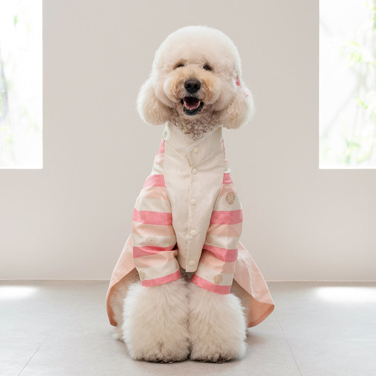 韓國新品上架【梨花娘總代理】🐾BAILEY 🐶秋冬新品 皇室尊貴刺繡流蘇寵物韓服(4色)