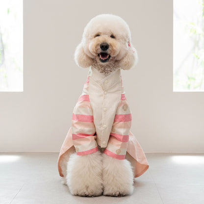 韓國新品上架【梨花娘總代理】🐾BAILEY 🐶秋冬新品 皇室尊貴刺繡流蘇寵物韓服(4色)