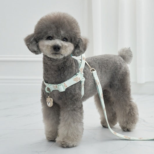 韓國新品上架【梨花娘總代理】🐾BAILEY 🐶秋冬新品 馬卡龍柔軟色系小熊圖案寵物胸背帶(3色)