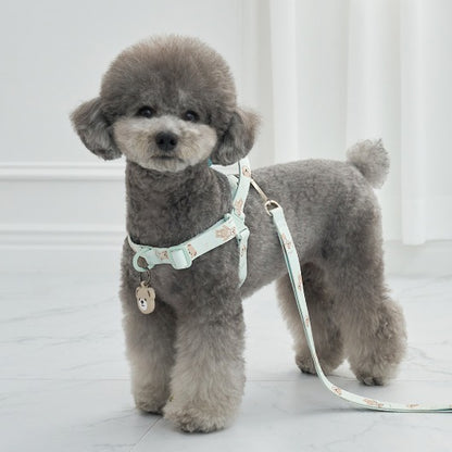 韓國新品上架【梨花娘總代理】🐾BAILEY 🐶秋冬新品 馬卡龍柔軟色系小熊圖案寵物胸背帶(3色)