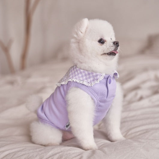 韓國新品上架【梨花娘總代理】🐾BAILEY 🐶秋冬新品 韓系溫小公主格子領蕾絲邊刺繡寵物服飾(3色)
