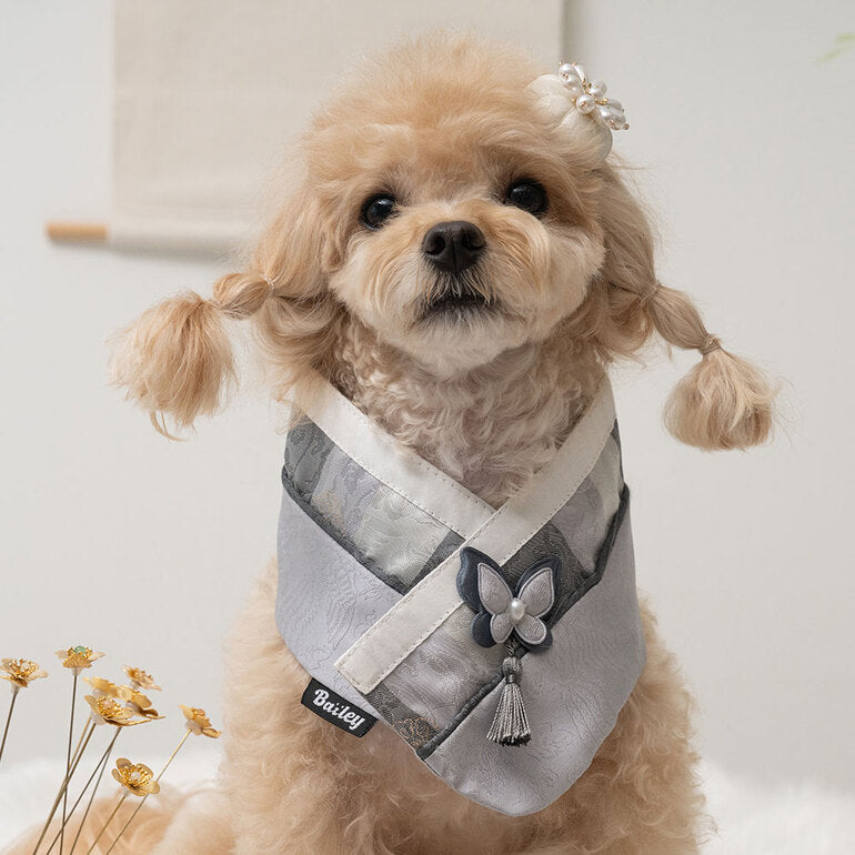 韓國新品上架【梨花娘總代理】🐾BAILEY 🐶秋冬新品 韓國皇室蝴蝶流蘇精緻韓服領巾(4色)