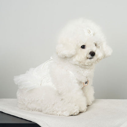 韓國新品上架【梨花娘總代理】🐾BAILEY 🐶秋冬新品 針織拼接蕾絲氣質優雅花朵芭蕾舞裙寵物服飾(2色)