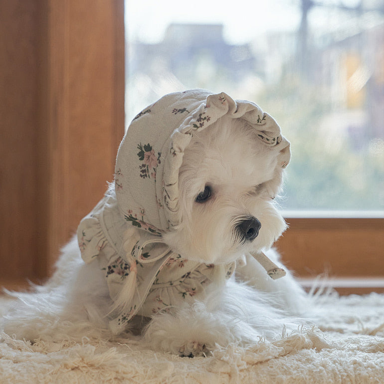 韓國新品上架【梨花娘總代理】🐾BAILEY 🐶秋冬新品 親膚純棉荷葉邊復古小碎花寵物服飾(2色)