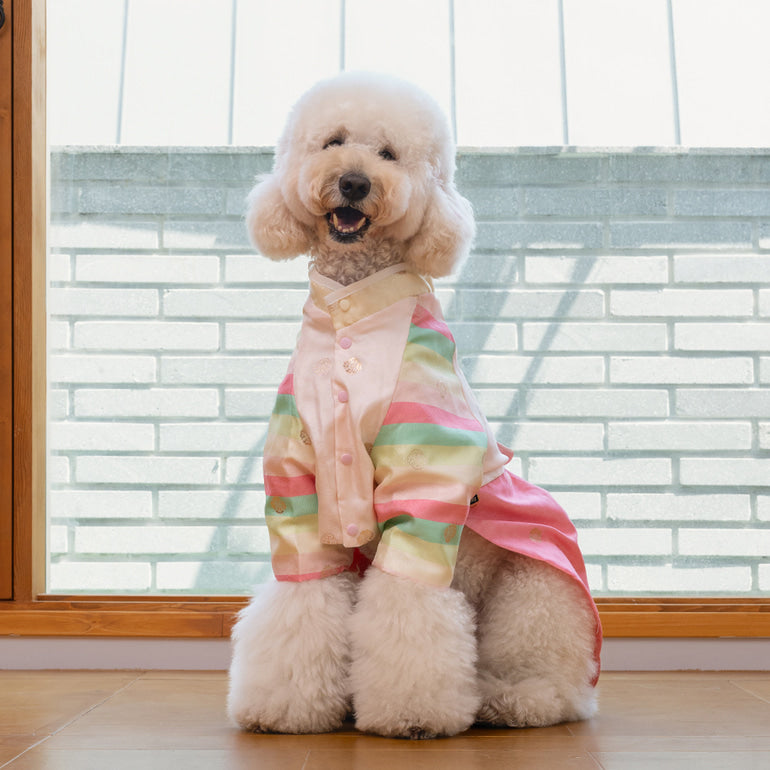 韓國新品上架【梨花娘總代理】🐾BAILEY 🐶秋冬新品 皇室公主刺繡百褶裙寵物韓服(2色)