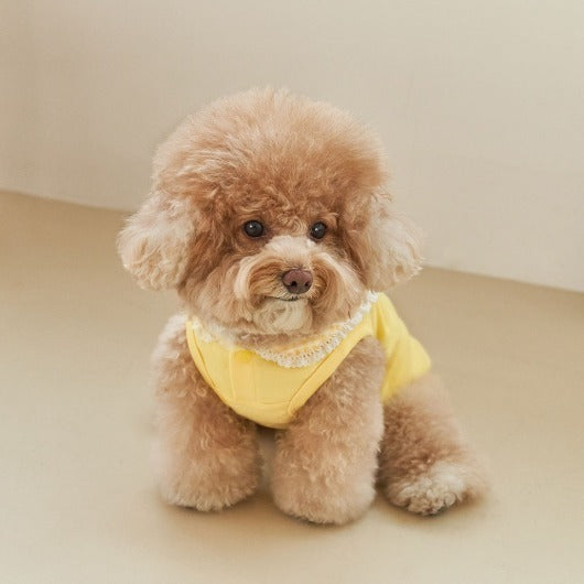 韓國新品上架【梨花娘總代理】🐾BAILEY 🐶秋冬新品 韓系溫小公主格子領蕾絲邊刺繡寵物服飾(3色)