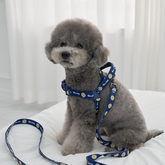 韓國新品上架【梨花娘總代理】🐾BAILEY 🐶秋冬新品 Daisy 雛菊亮色花朵微笑寵物胸背帶(4色)