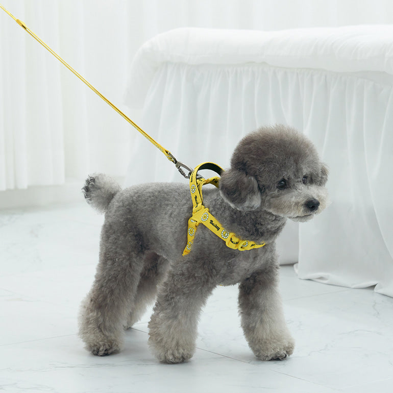 韓國新品上架【梨花娘總代理】🐾BAILEY 🐶秋冬新品 Daisy 雛菊亮色花朵微笑寵物胸背帶(4色)