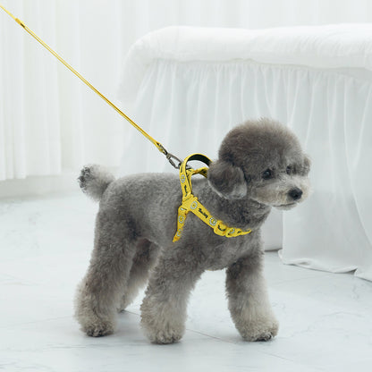 韓國新品上架【梨花娘總代理】🐾BAILEY 🐶秋冬新品 Daisy 雛菊亮色花朵微笑寵物胸背帶(4色)